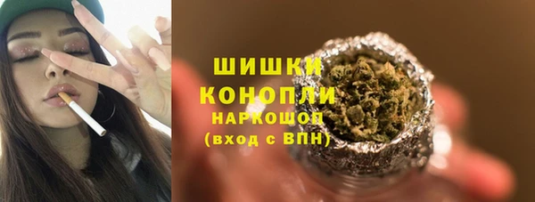 ПСИЛОЦИБИНОВЫЕ ГРИБЫ Аркадак