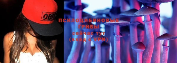 ПСИЛОЦИБИНОВЫЕ ГРИБЫ Аркадак