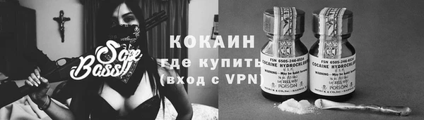 ПСИЛОЦИБИНОВЫЕ ГРИБЫ Аркадак