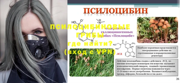 ПСИЛОЦИБИНОВЫЕ ГРИБЫ Аркадак