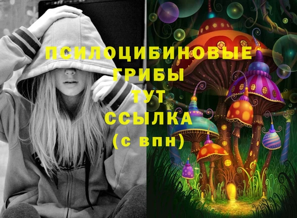 ПСИЛОЦИБИНОВЫЕ ГРИБЫ Аркадак