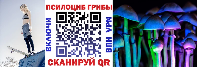 купить наркотик  Сальск  Псилоцибиновые грибы MAGIC MUSHROOMS 